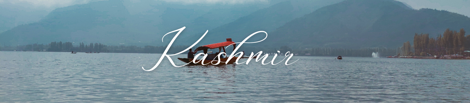 Banner 1