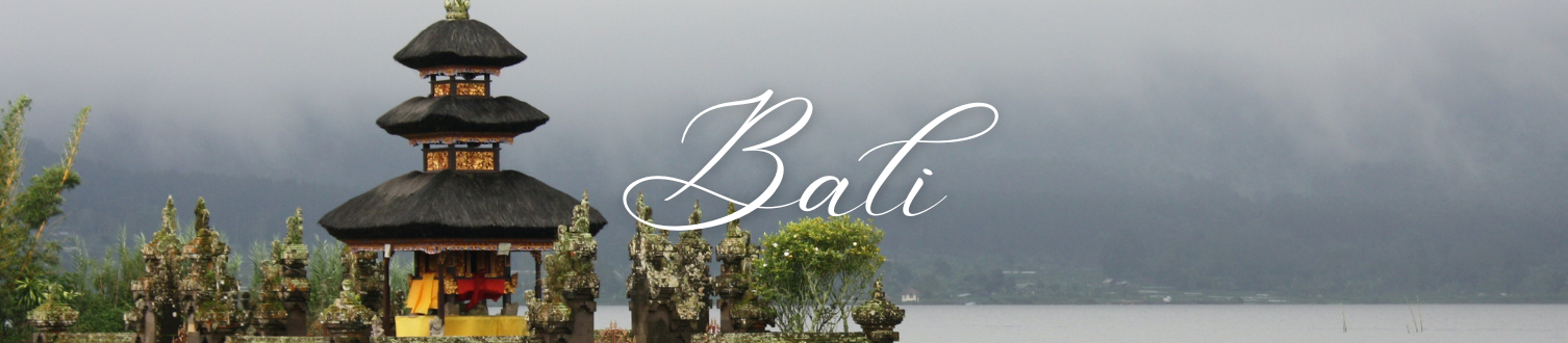 Banner 2